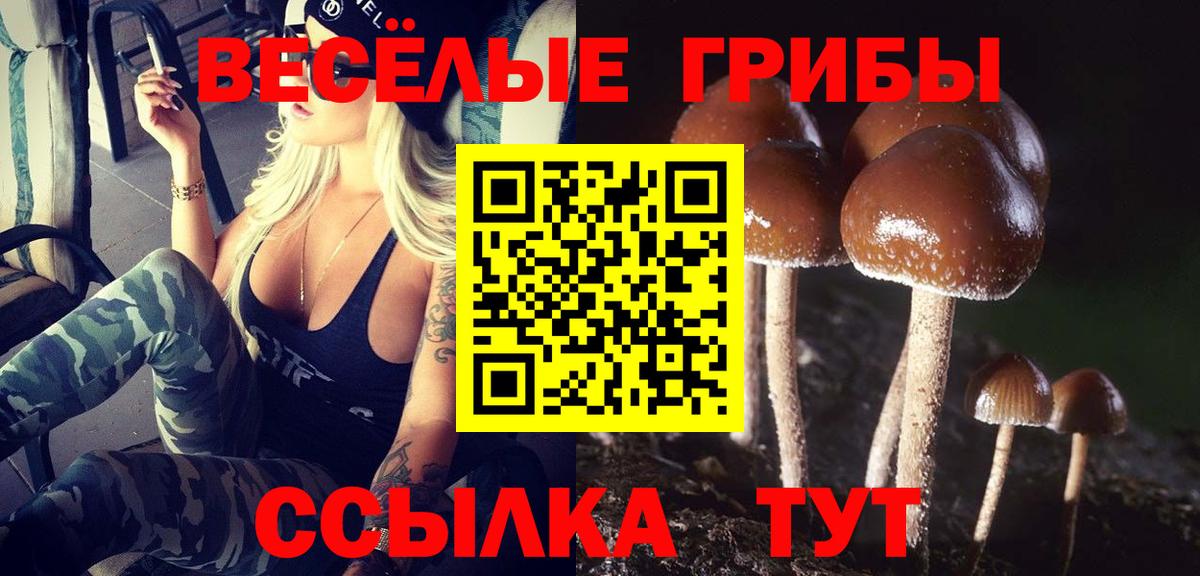Псилоцибиновые грибы MAGIC MUSHROOMS Малгобек